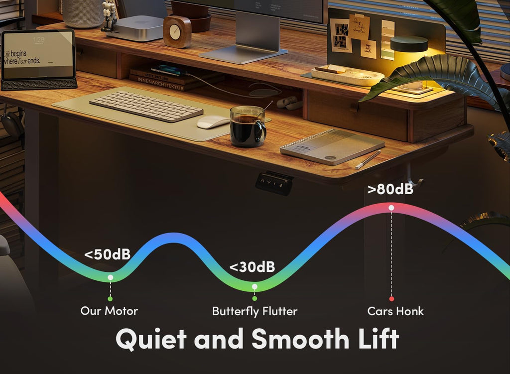 48 By 24 Inch Height Adjustable Electric Standing Desk With Double