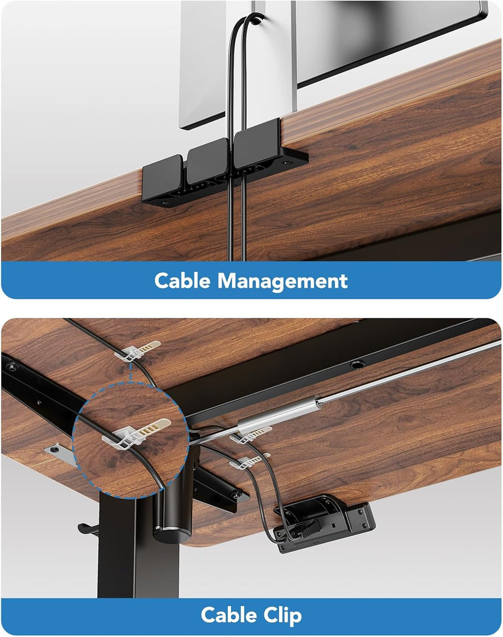 48 Inch Electric Standing Desk With Adjustable Height And Memory