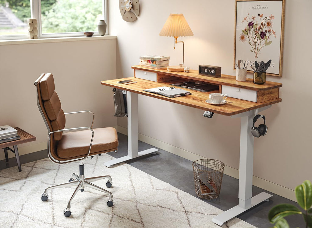 48 By 24 Inch Height Adjustable Electric Standing Desk With Double