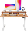 48 By 24 Inch Height Adjustable Electric Standing Desk With Double